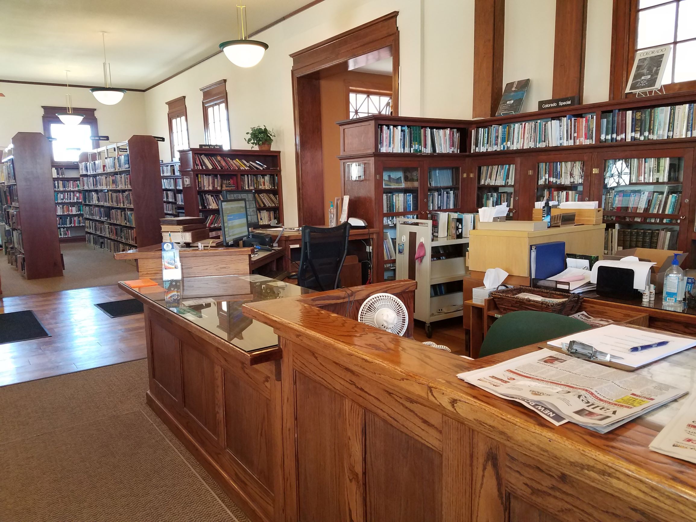 Public Information Carnegie Public Libraries